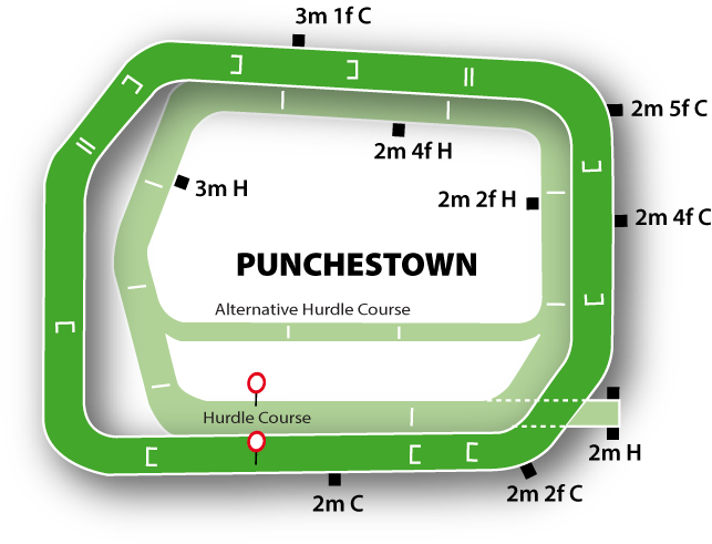 Punchestown Course Guide - Punchestown Race Track (650x508), Png Download