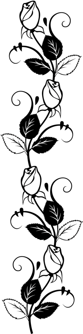 Rose Stencil Silhouette Drawing Free Frame - Roses On Vine Silhouette (400x1184), Png Download