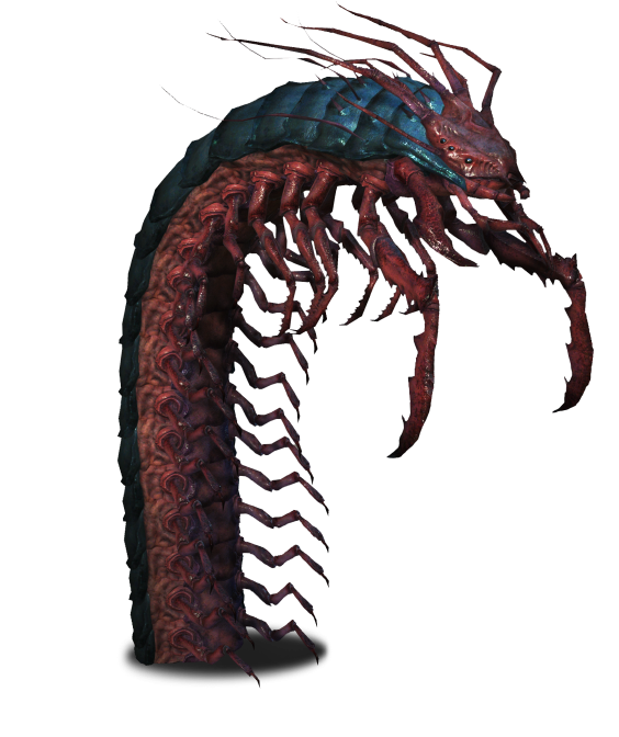 654 X 727 5 - Giant Centipede Witcher 3 (654x727), Png Download