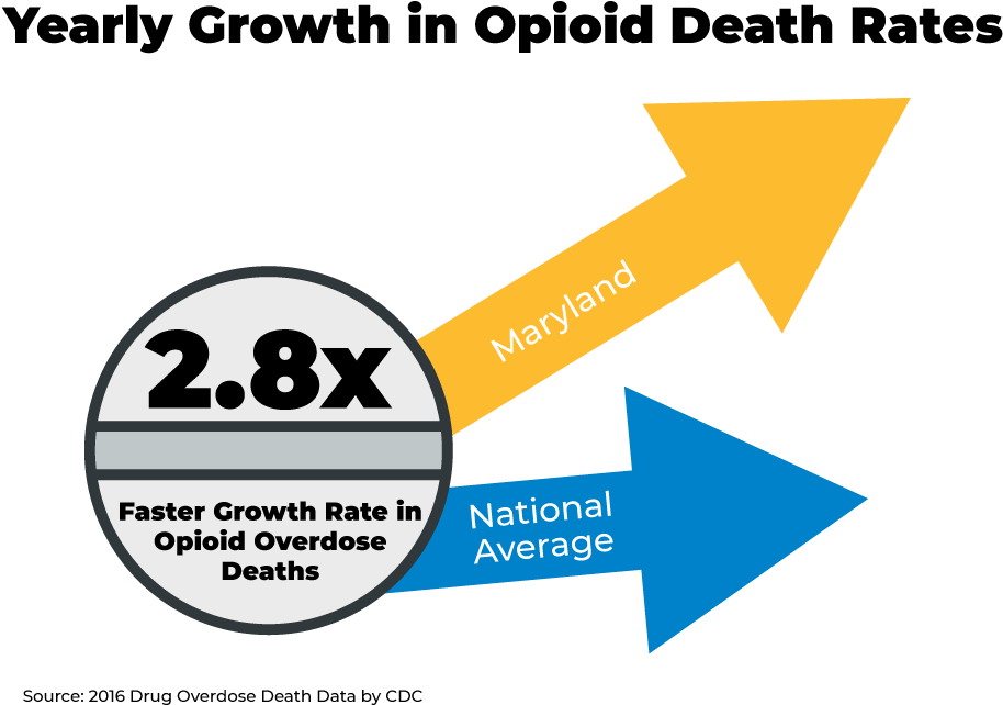 Website-increase - Something Special (960x720), Png Download