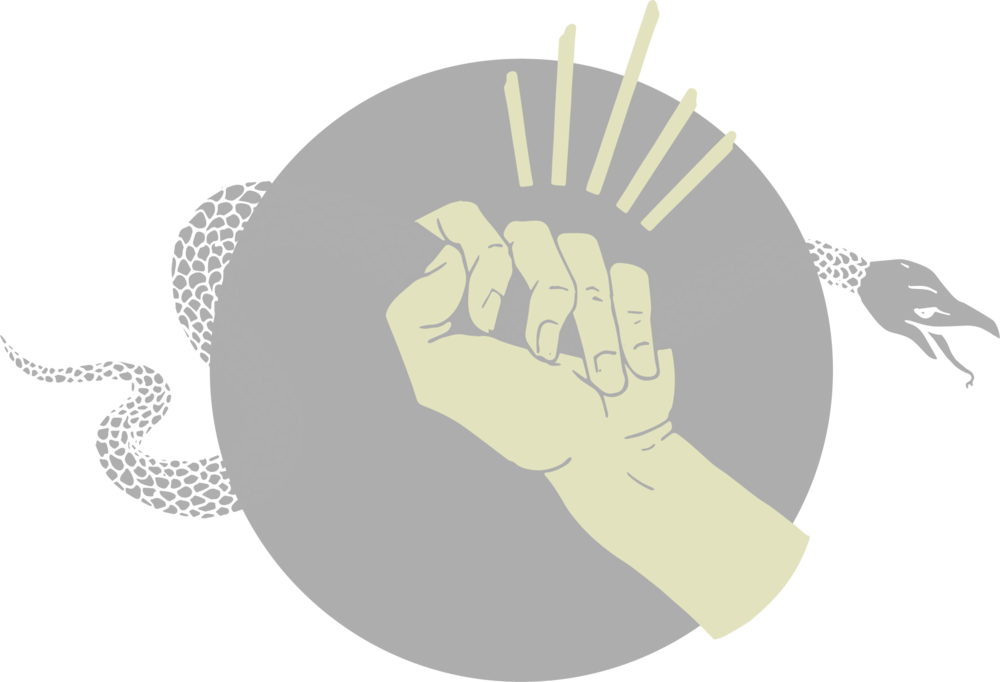 Hand Grabbing Snake 1@4x - Illustration (1000x682), Png Download