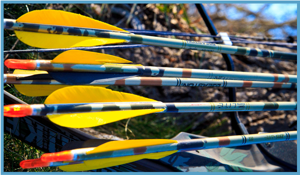 Arrows Used For Archery - Kayak (948x362), Png Download