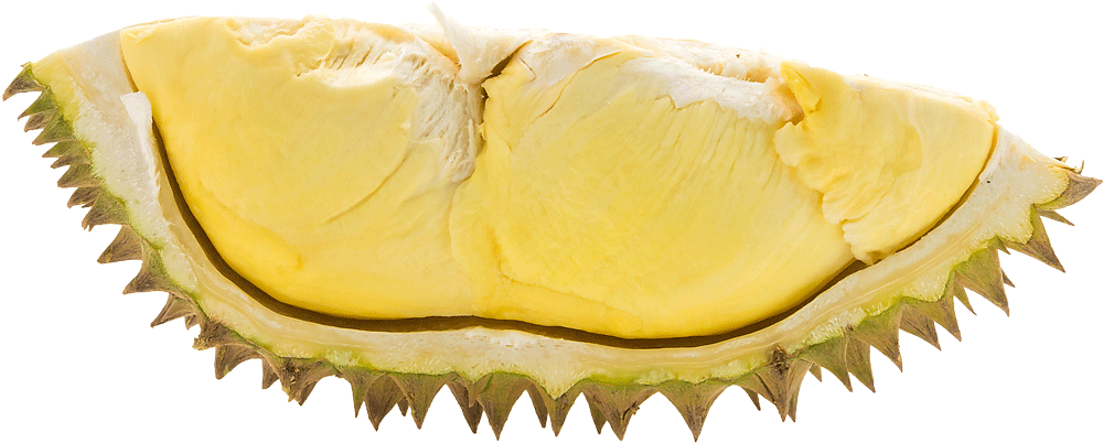 Download Durian Png Durian Full Size Png Image Pngkit