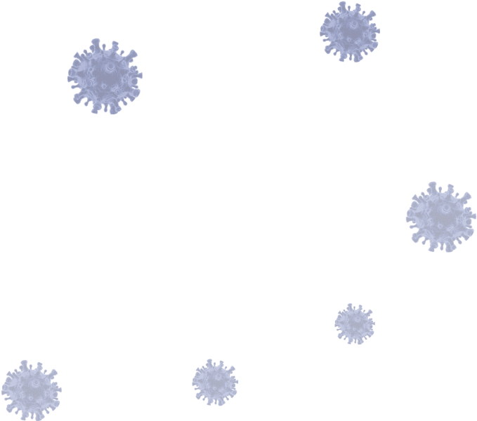 R - African Daisy (1100x688), Png Download