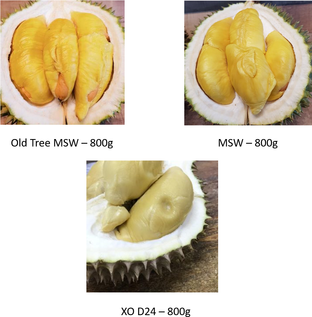 Premium Durian - Cempedak (1003x1045), Png Download