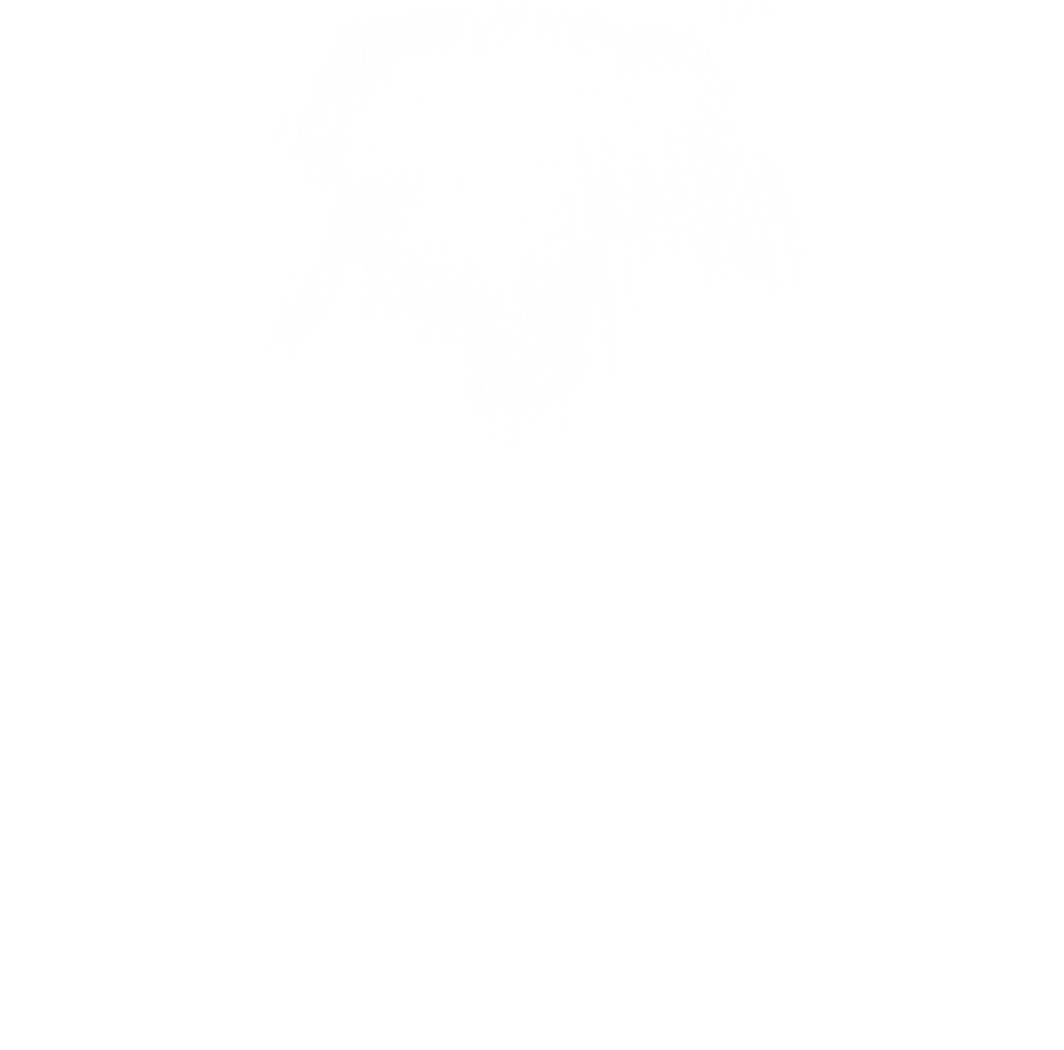 Download Transparent Lights Light Sun Rays Ray 4asno4i Ftestickers