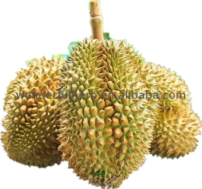 Hot Sell Raw Jackfruit Seeds Nutrition Powder Durian - Durian (650x610), Png Download