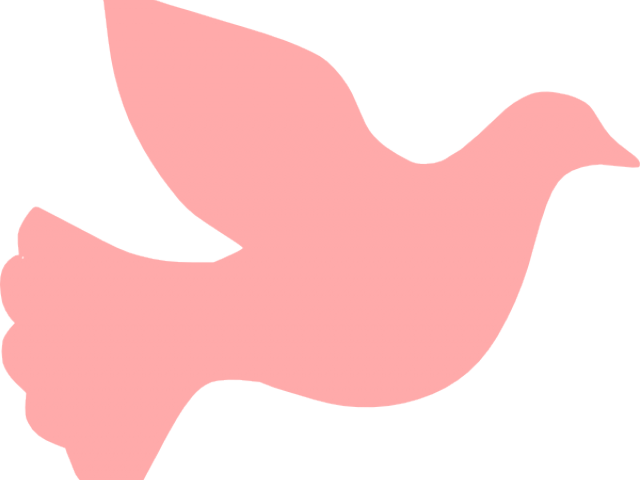 Dove Clipart Pink - Dove (640x480), Png Download