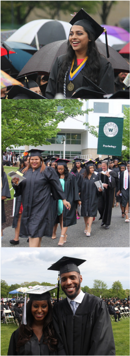 Commencement Montage - Academic Dress (425x1200), Png Download