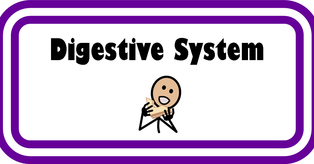 Executivo Rh (1071x562), Png Download