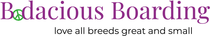 Bodadious Logo - Calligraphy (1000x309), Png Download