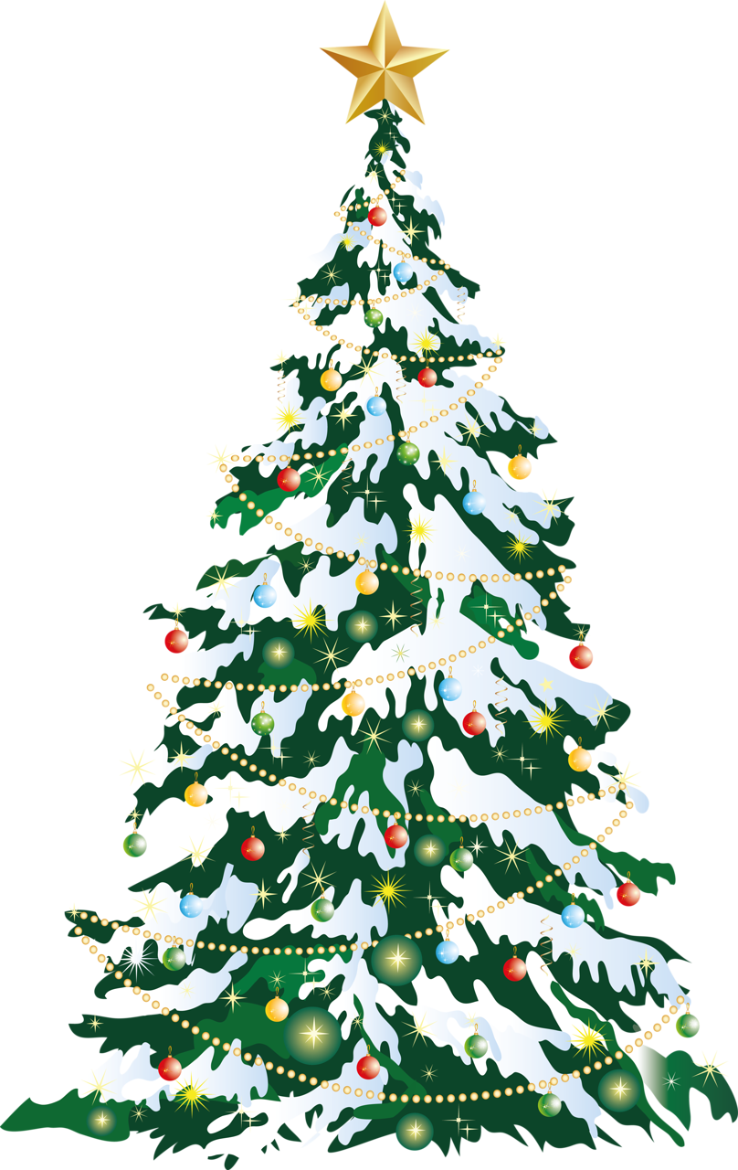 Png Format Christmas Tree Png (808x1280), Png Download