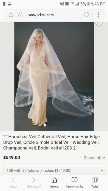 New Champagne Veil - Veil (1024x768), Png Download