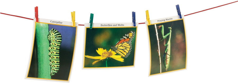 Classroom Clothesline Alternate Image B - Banner (900x900), Png Download