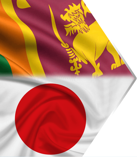 Sri Lanka Automobile Association In Japan Image - Sri Lanka Cricket Team Flag (525x601), Png Download