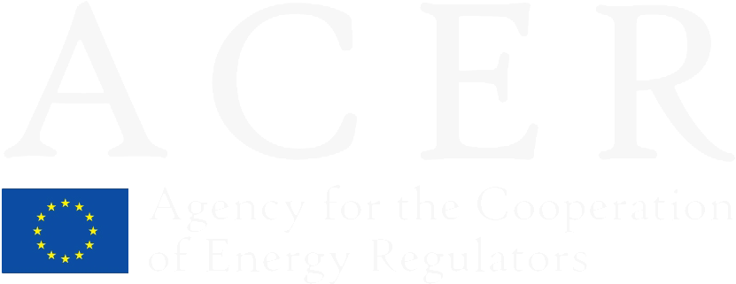 Acer Logo - European Social Fund (988x450), Png Download