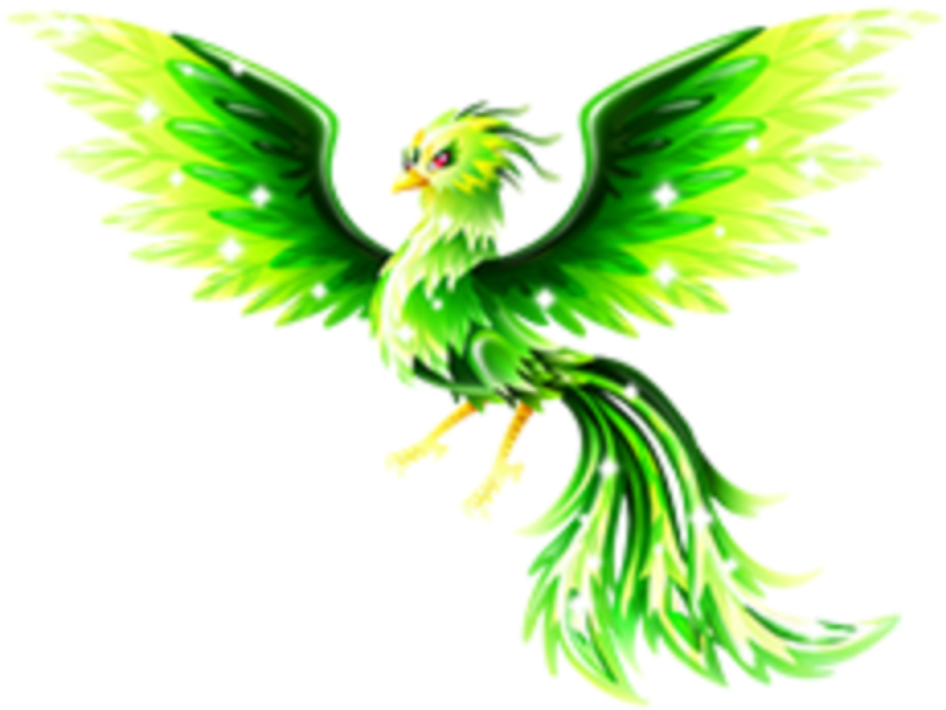 Phoenix Sticker - Parrot (1024x774), Png Download