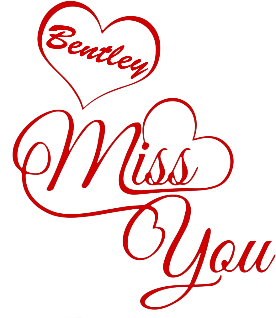 Bentley Miss You Name Png - Miss You Roman Reigns (912x1036), Png Download