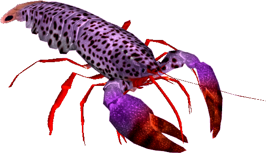 Homarus (560x560), Png Download