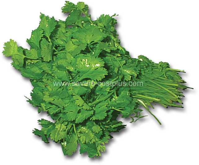 Estos Son Algunos De Los Productos Que Puede Encontar - Parsley (661x661), Png Download