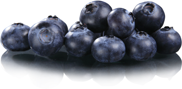 Las Frutas Y Verduras Deshidratadas Por El Método De - Bilberry (800x415), Png Download