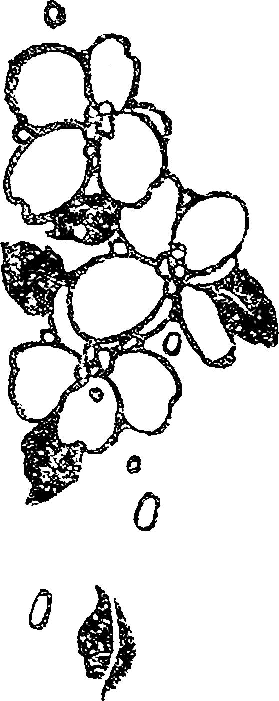 However, I Love That The Distressed Look Only Gives - Illustration (708x1500), Png Download
