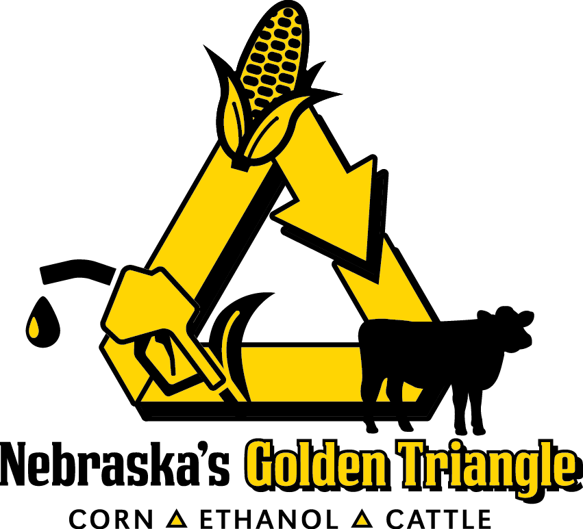 Nebraska Corn Kernels (851x773), Png Download