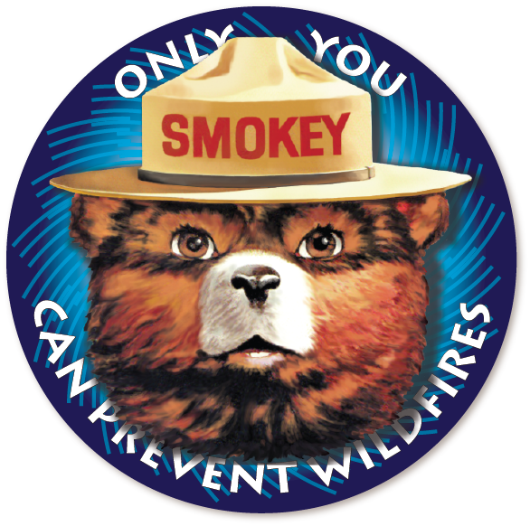 Additional Information - Smokey The Bear (586x582), Png Download