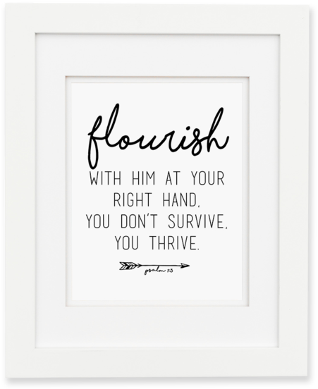 Calligraphy (600x600), Png Download