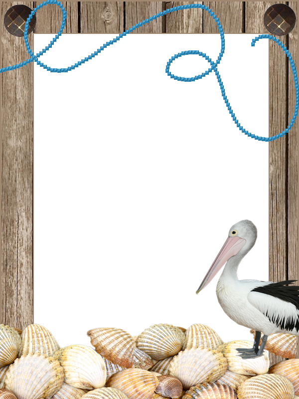 Playa - Marcos Para Fotos Con Cigueñas (600x800), Png Download