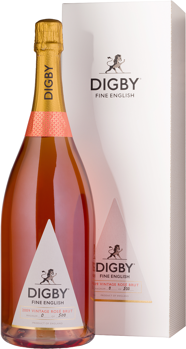 2009 Vintage Rosé Brut Magnum - Champagne (1599x1599), Png Download
