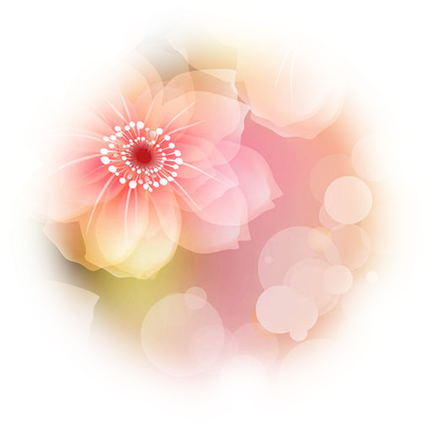 Point Of Light Png - Barberton Daisy (894x894), Png Download