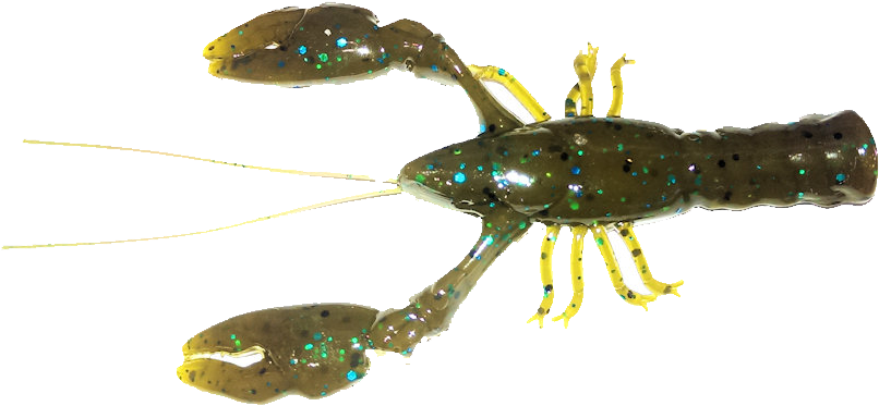 64 Green Pumpkin Las - American Lobster (864x407), Png Download