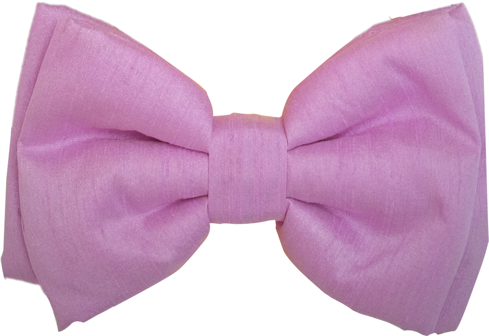 The Colour Purple - Purple Bow Tie Png (1000x742), Png Download