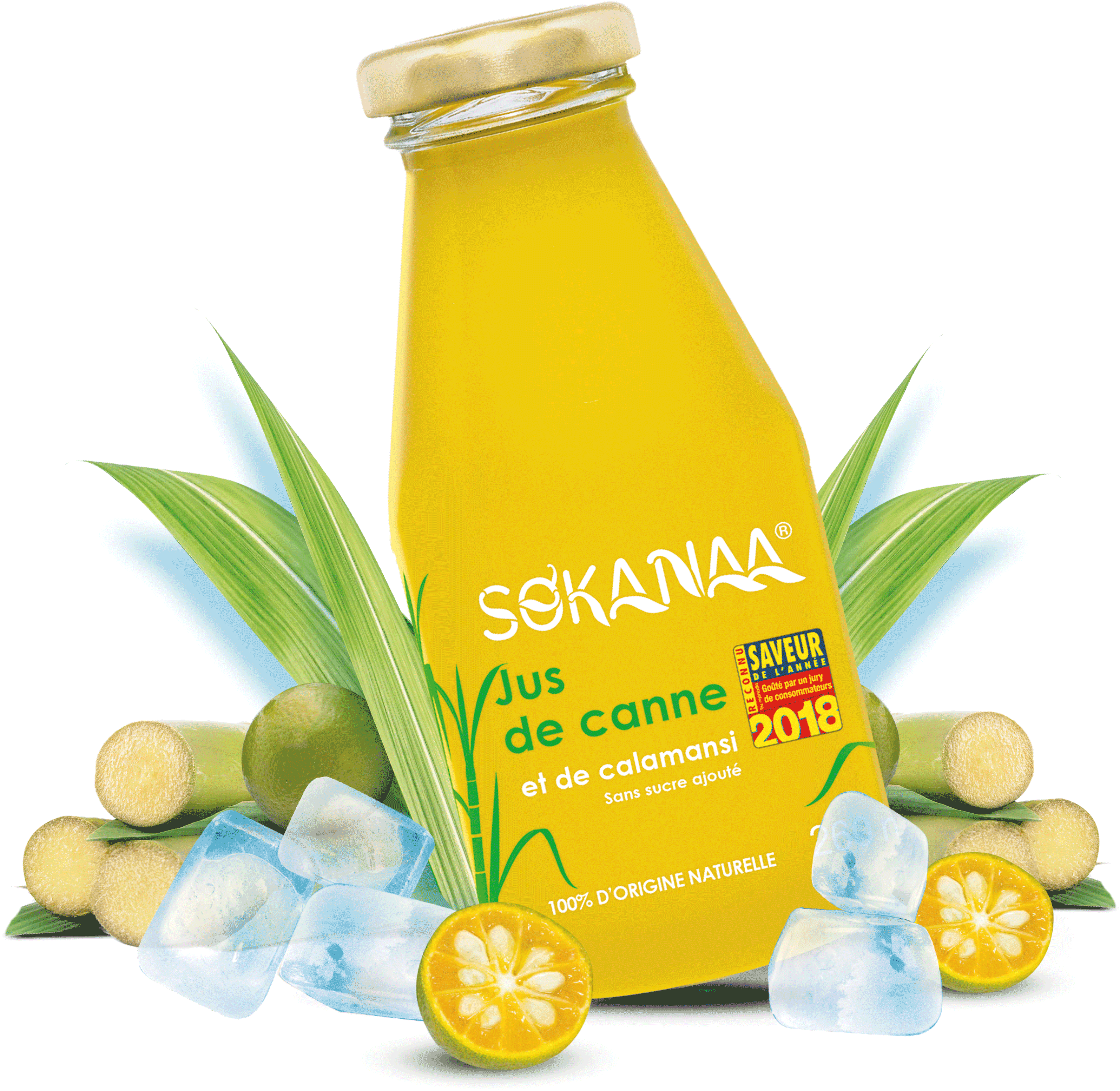 Bouteille Sokanaa - So Kanaa Jus De Canne (3233x3195), Png Download