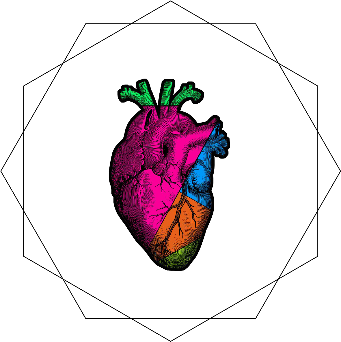 Illustration (1600x1600), Png Download