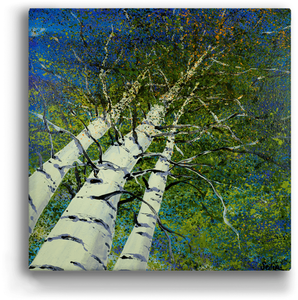 "skyward Aspen Trees" Metal Art (a10bx-lsky) - Birch (630x630), Png Download
