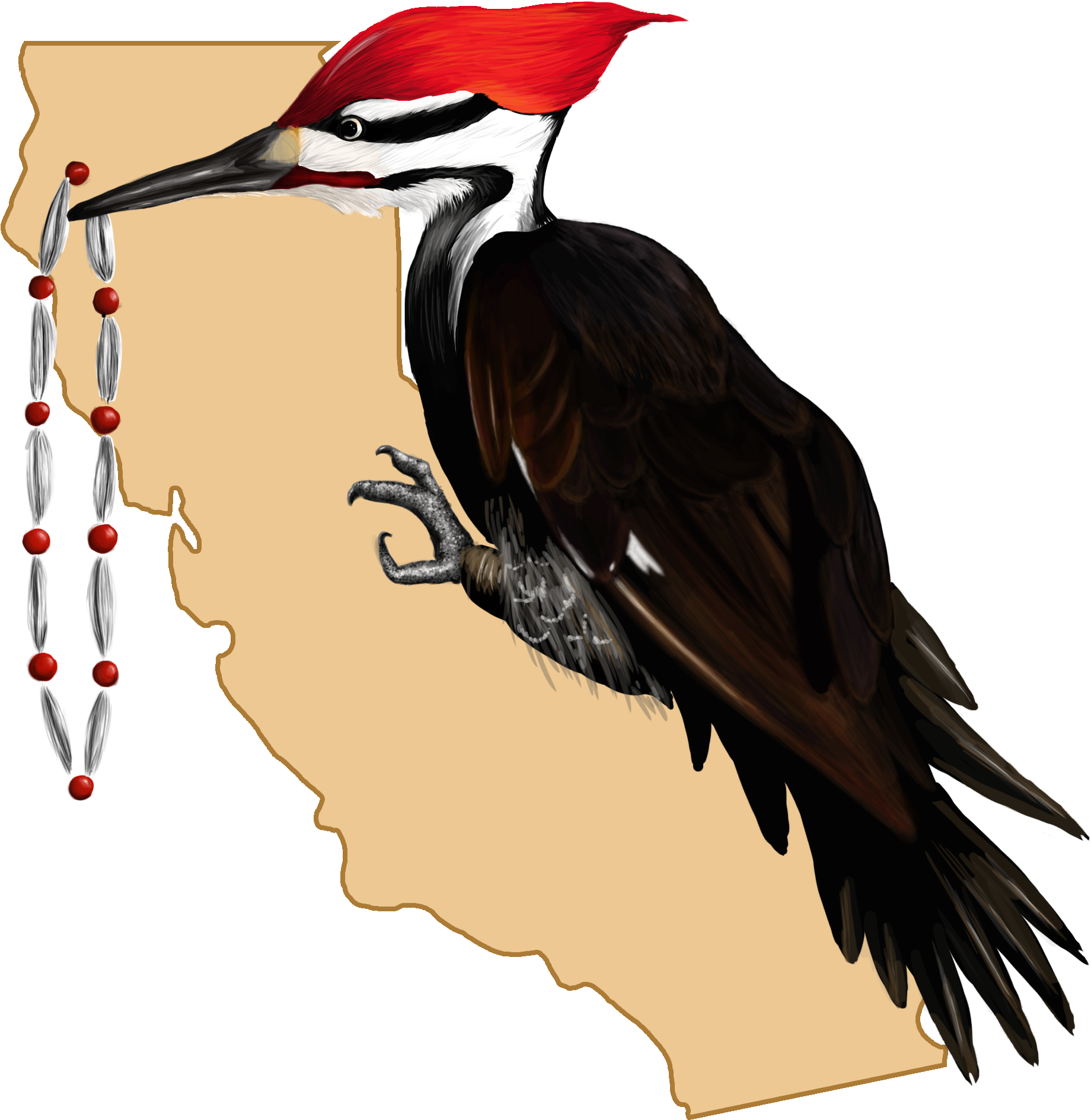 Big Time Logo - Pileated Woodpecker (1888x1969), Png Download