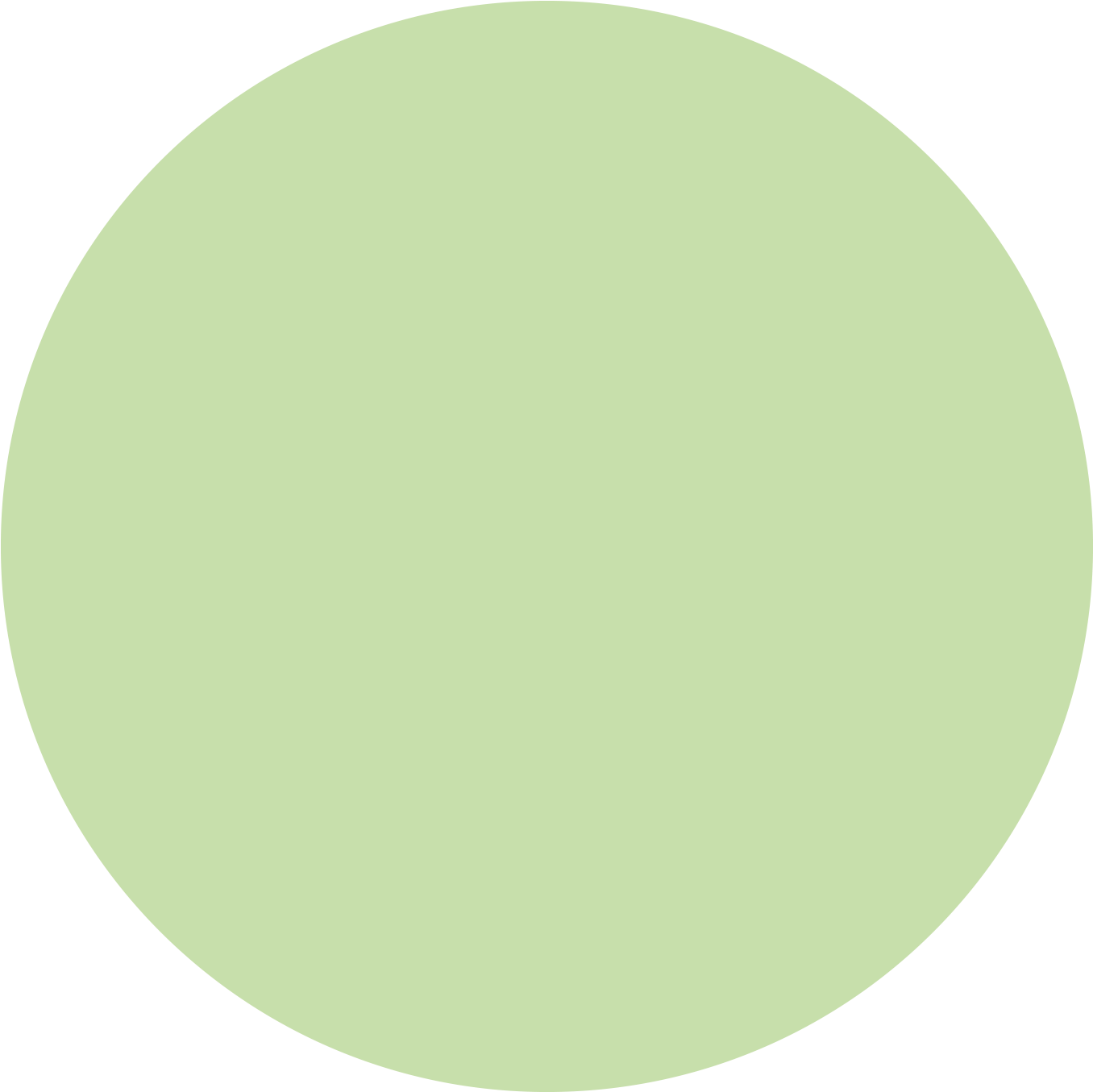En Boma Servicios Contamos Con Personal Cualificado - Light Green Circle Png (1533x1410), Png Download