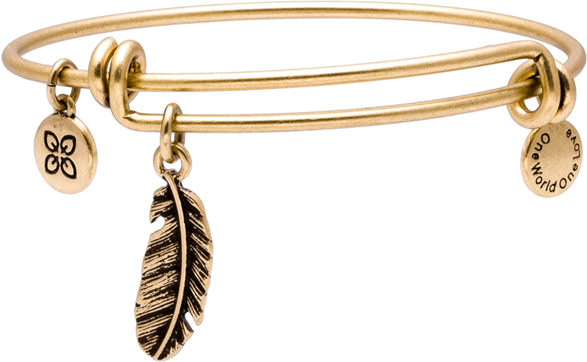 Indian Feather - Earrings (960x960), Png Download
