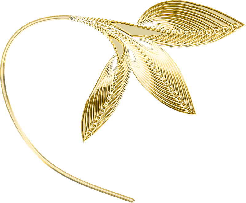 Imágenes Para Photoscape, Photoshop Y Gimp De Adornos - Gold Ornament Png (800x659), Png Download