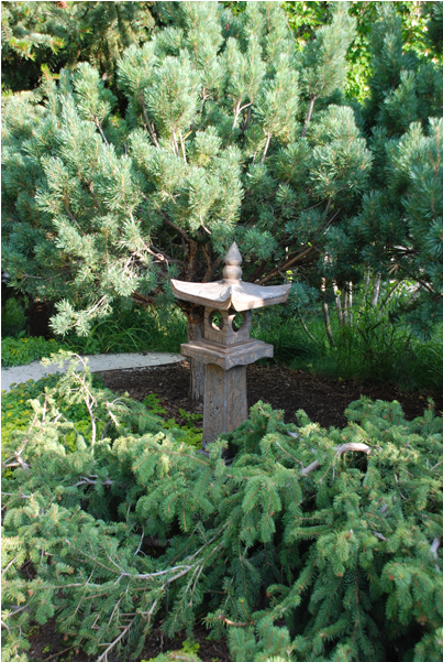 Tranquillity Corner Escape Garden Design - Shortleaf Black Spruce (800x600), Png Download