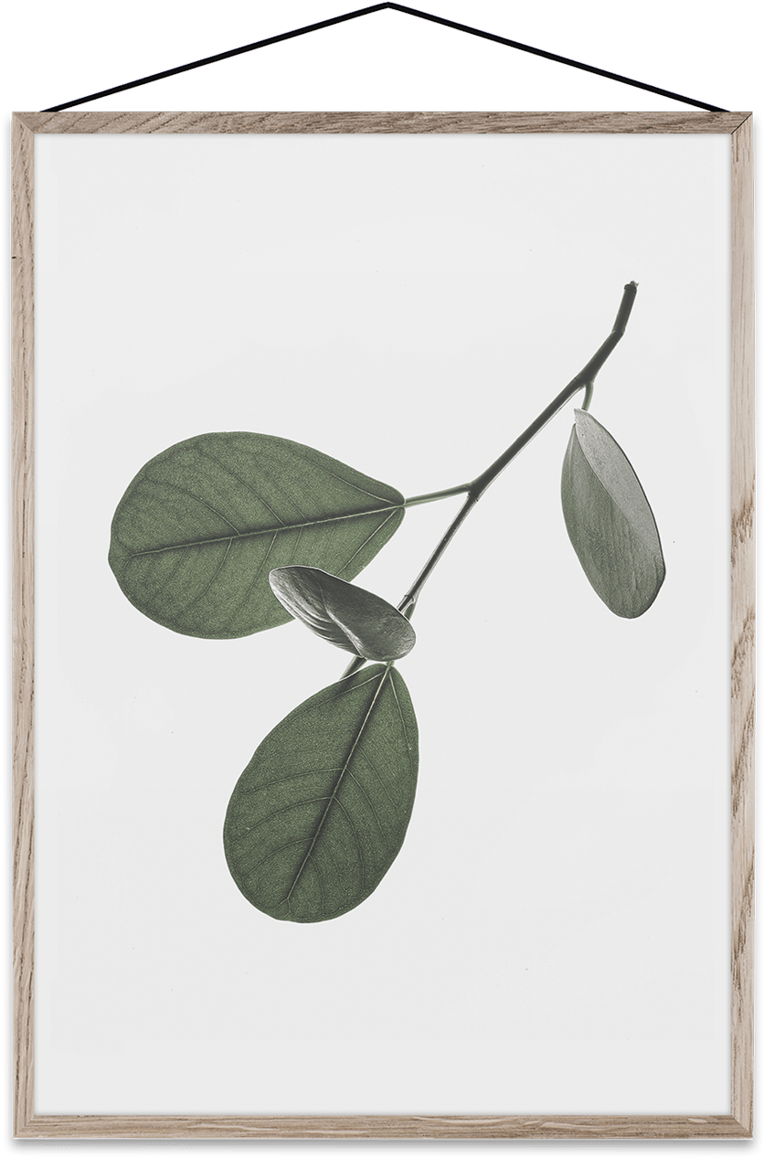 Floating Leaves 05 By Norm Architects For Paper Collective - Picture Frame (900x1361), Png Download