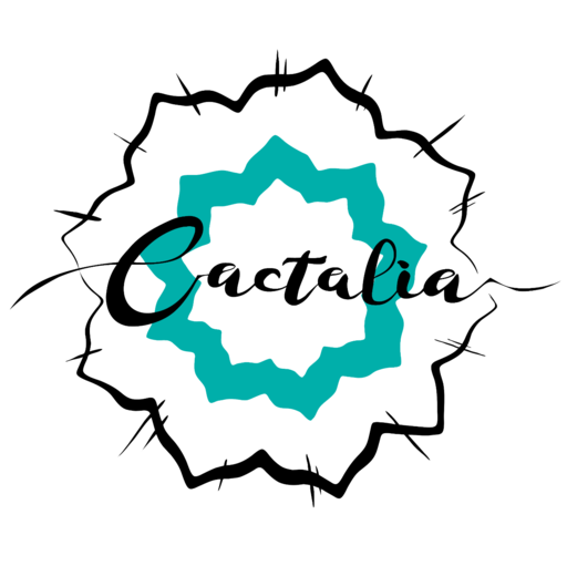 Venta Online De Cactus, Suculentas, Decoración Del - Circle (700x604), Png Download