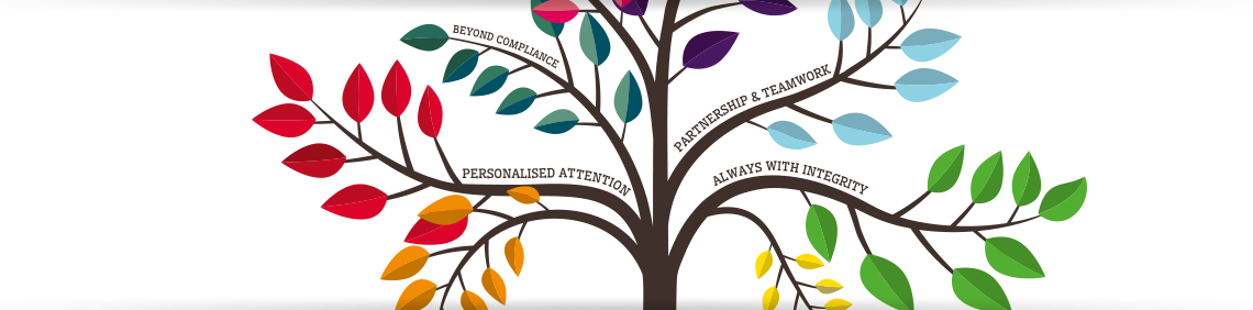 About Aspen (1140x282), Png Download