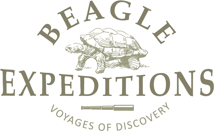 Beagle Expeditions Beagle Expeditions Beagle Expeditions - Walker Filtration (842x595), Png Download
