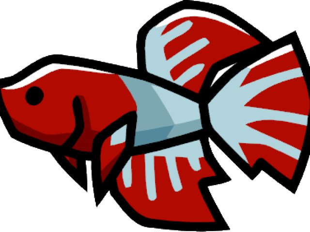 Betta Png (640x480), Png Download