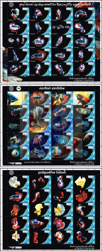 Siamese Fighting Fish Ps(200 - Fictional Character (800x800), Png Download