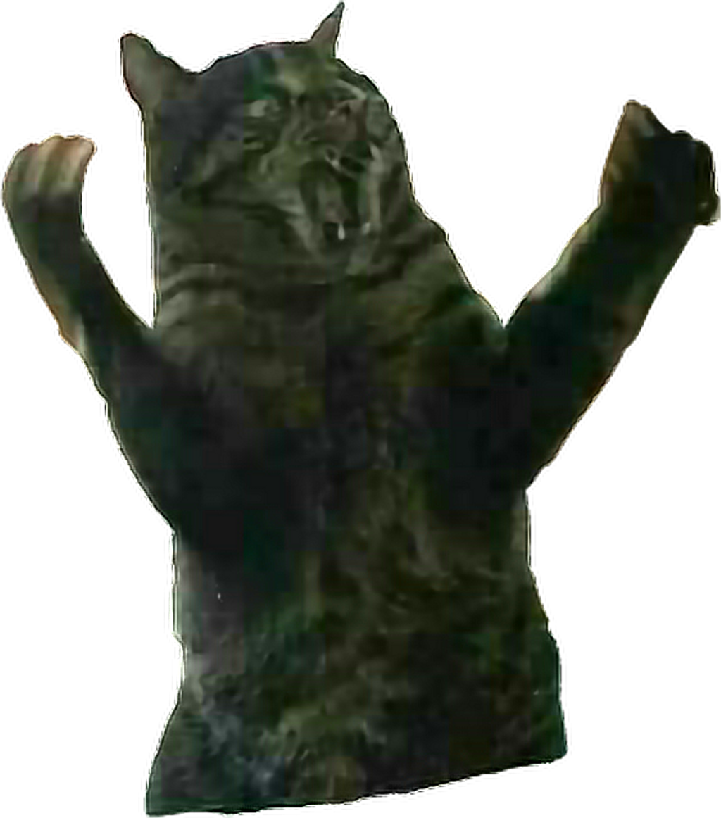 Remixit Cat Fatcat Surprise Rage Angry Animal Anim - Dragon Li (1024x1162), Png Download