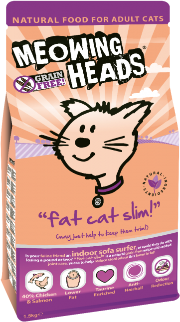 Fat Cat Slim - Meowing Heads Gone Fishing (800x800), Png Download
